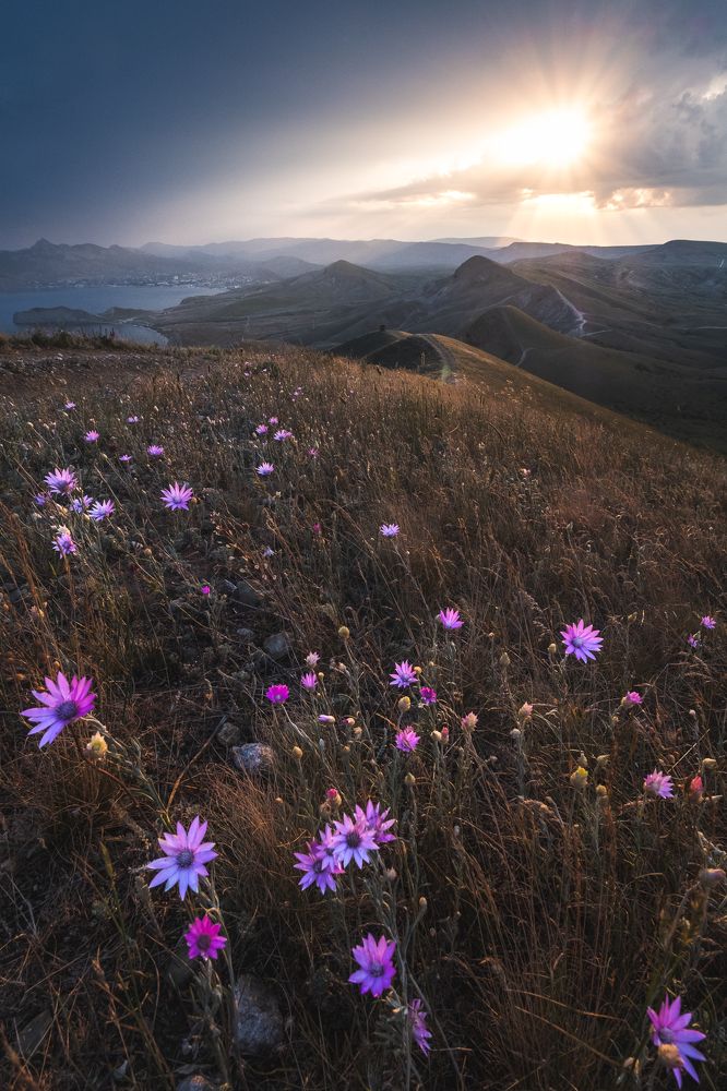 Photograph by Вадим Коротеев