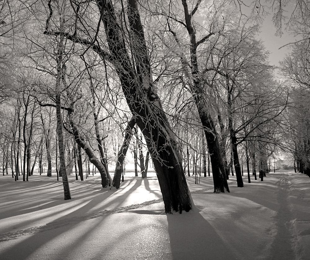 Photograph by 