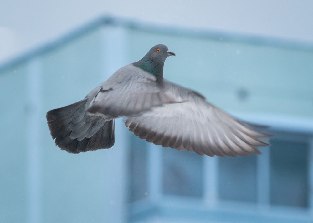 Photograph by Тамара Вотинцева