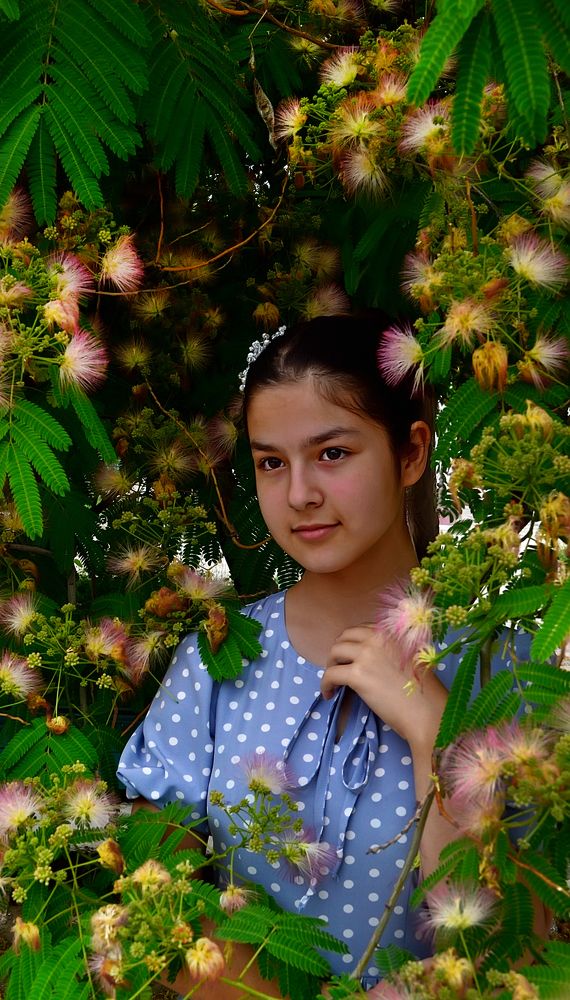 Фотография автора Rowshen