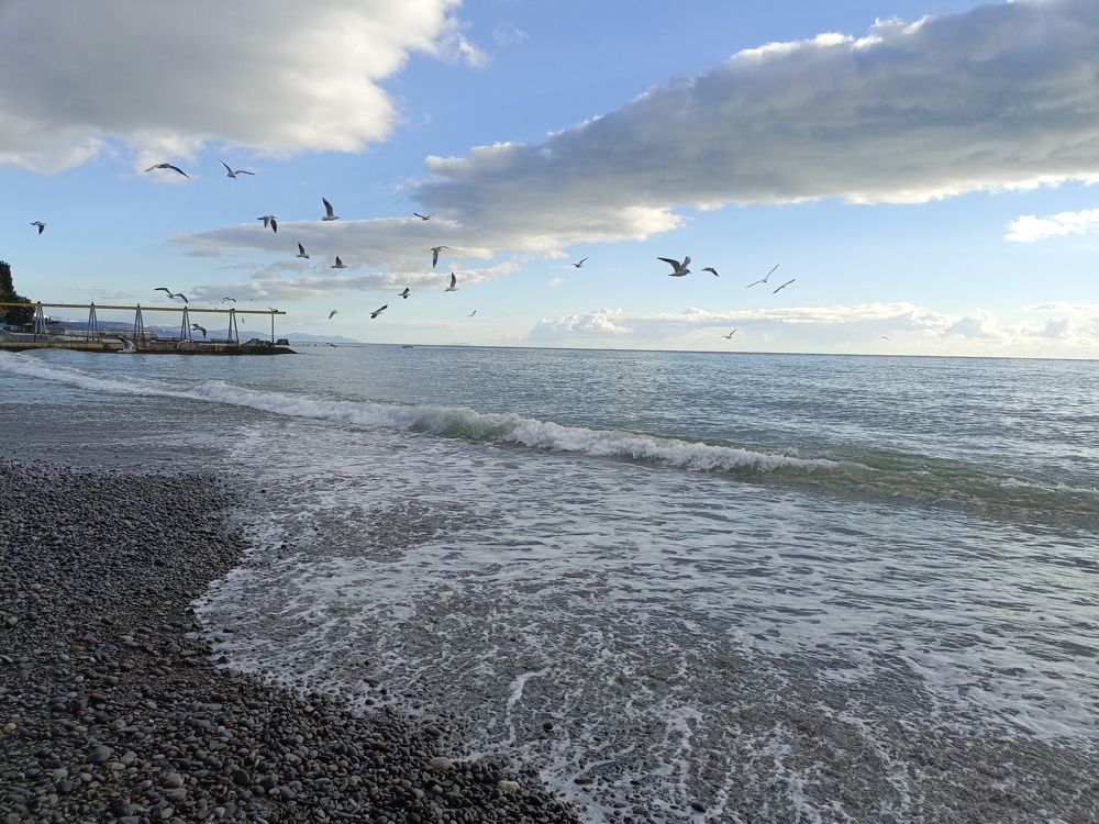Photograph by Ольга Суляева