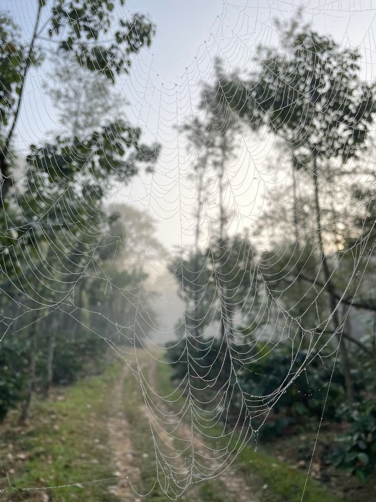 Photograph by Gayathri Girish