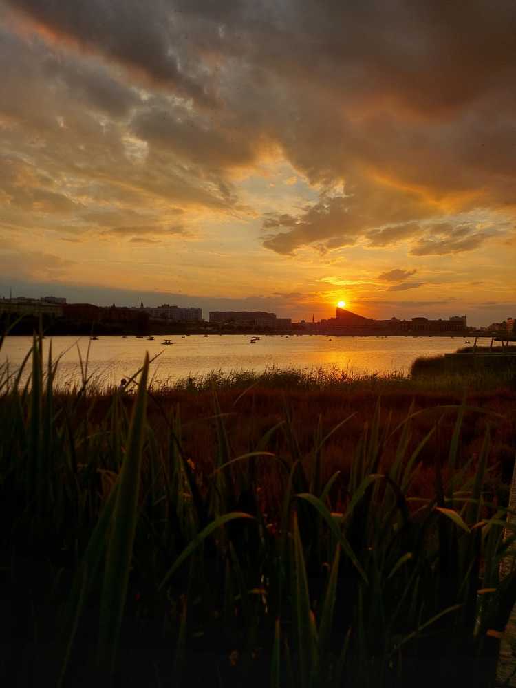Photograph by Эндже Галиахметова