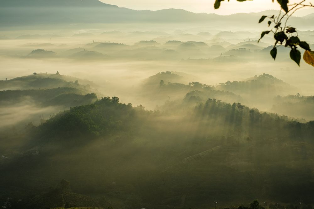 Photograph by May Nguyễn