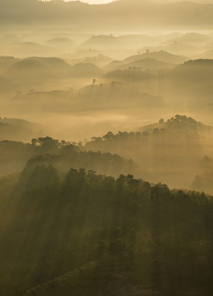 Photograph by May Nguyễn