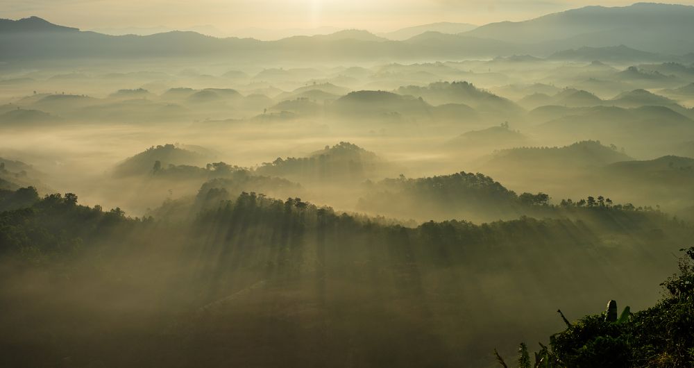 Photograph by May Nguyễn