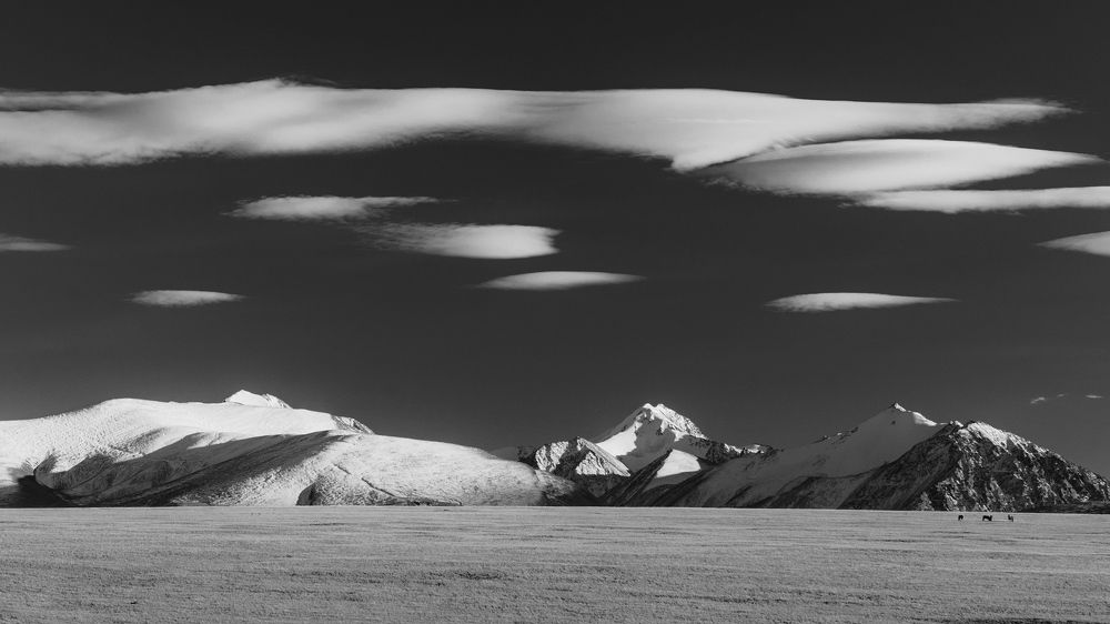 Фотография автора  Андрей
