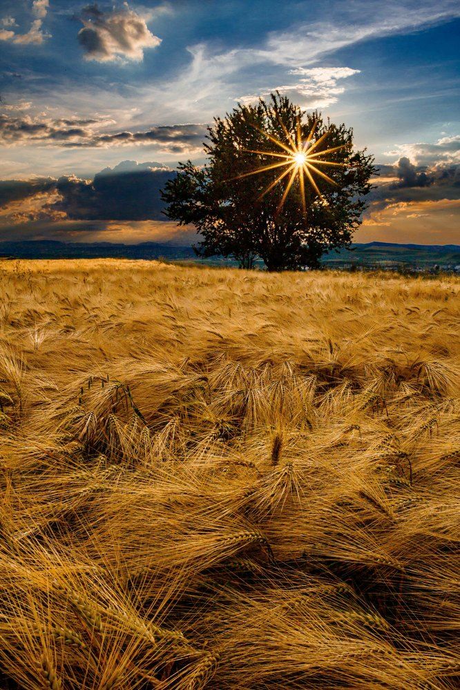 Photograph by Vlad Badau