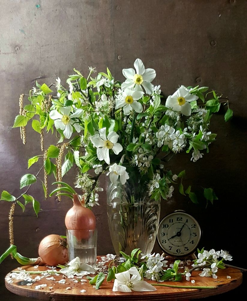 Photograph by Людмила Шатерникова