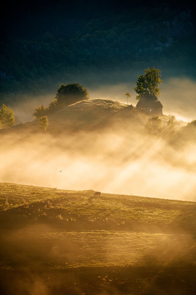 Photograph by Vlad Badau