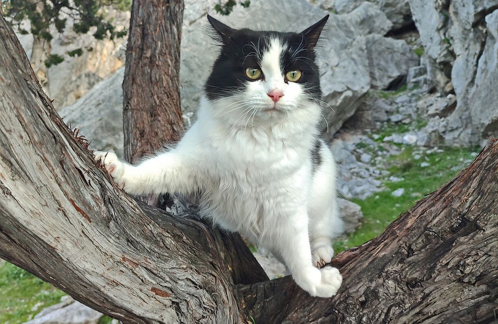 Photograph by Евгений Самулев