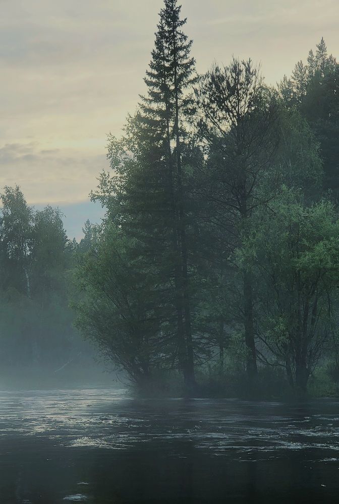 Photograph by Виталий Матвеев