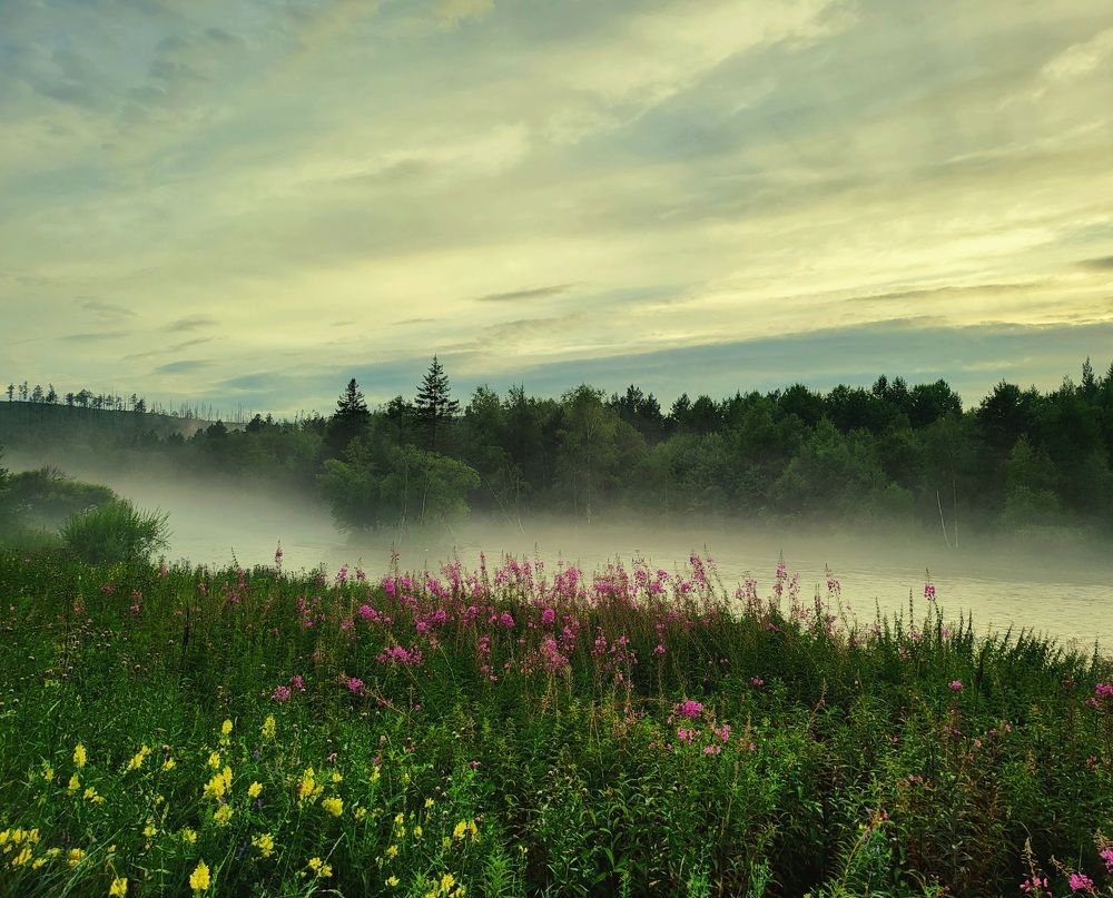 Photograph by Виталий Матвеев