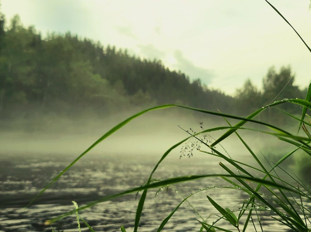 Photograph by Виталий Матвеев