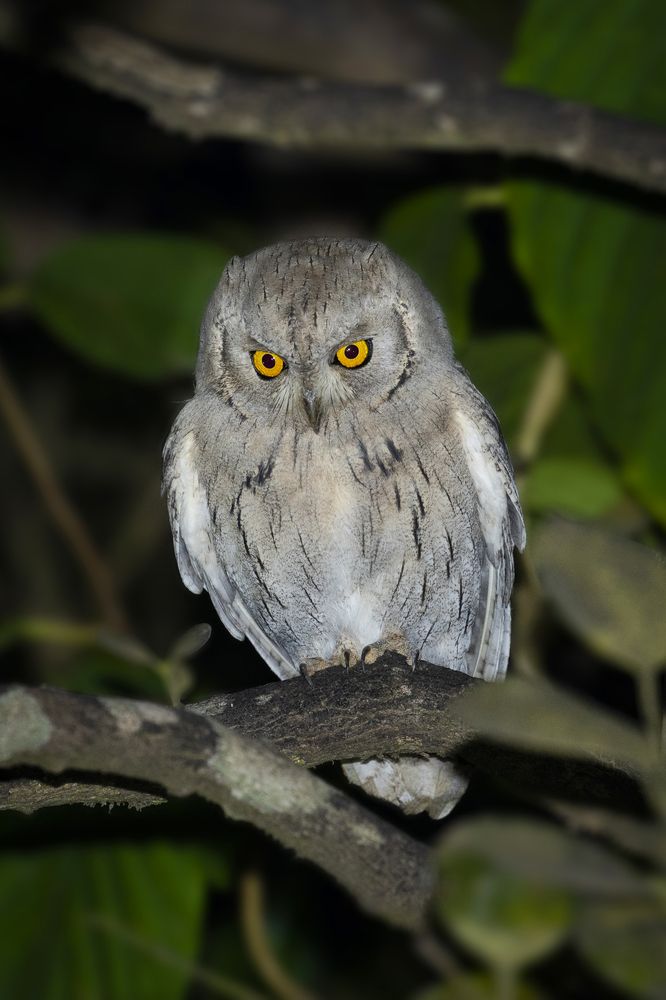 Photograph by Dhananjay Jadhav