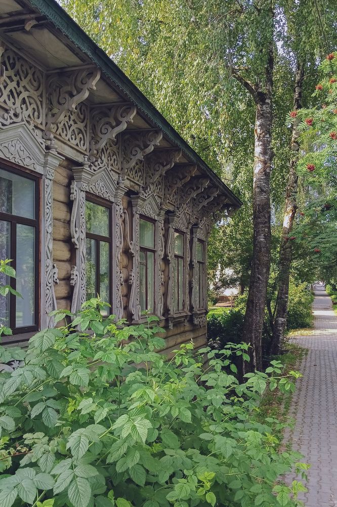 Фотография автора Larisa Meshkova