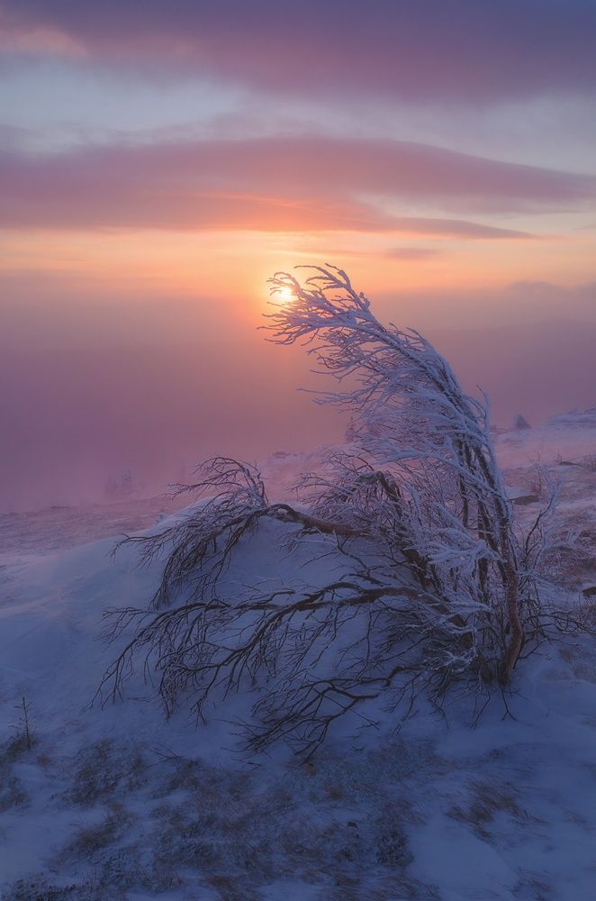 Photograph by Илья Толстоноженко