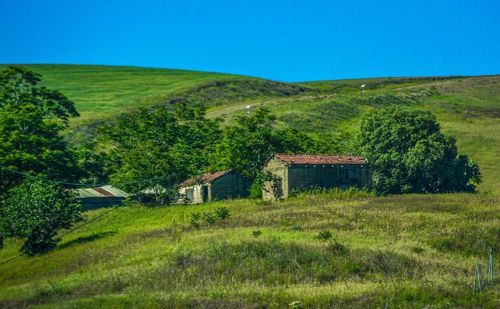 Photograph by Bachir Rabouh