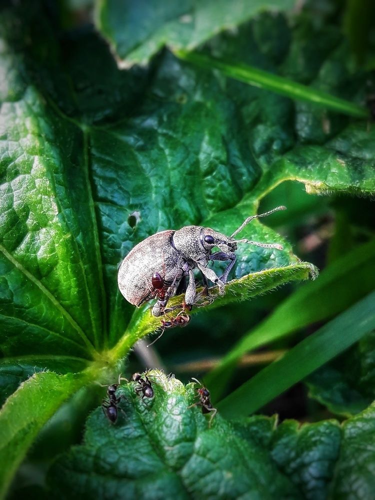 Photograph by Марина