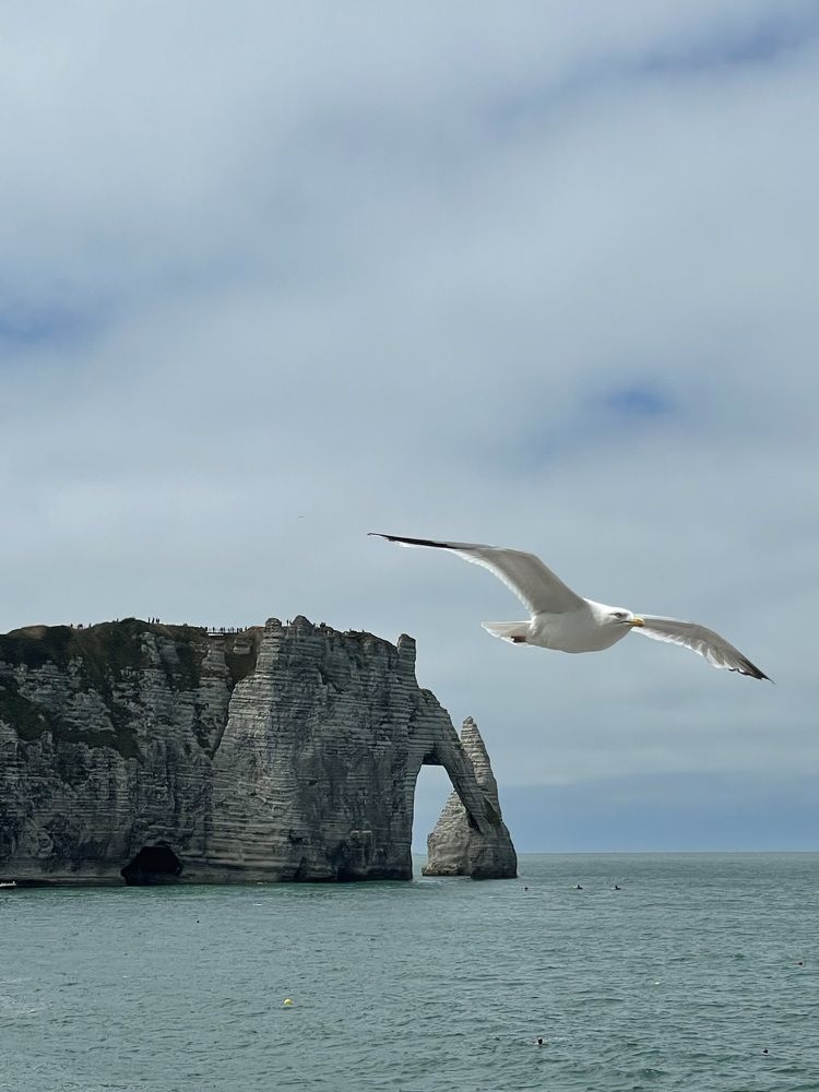 Photograph by Svetlana Kuzmenko