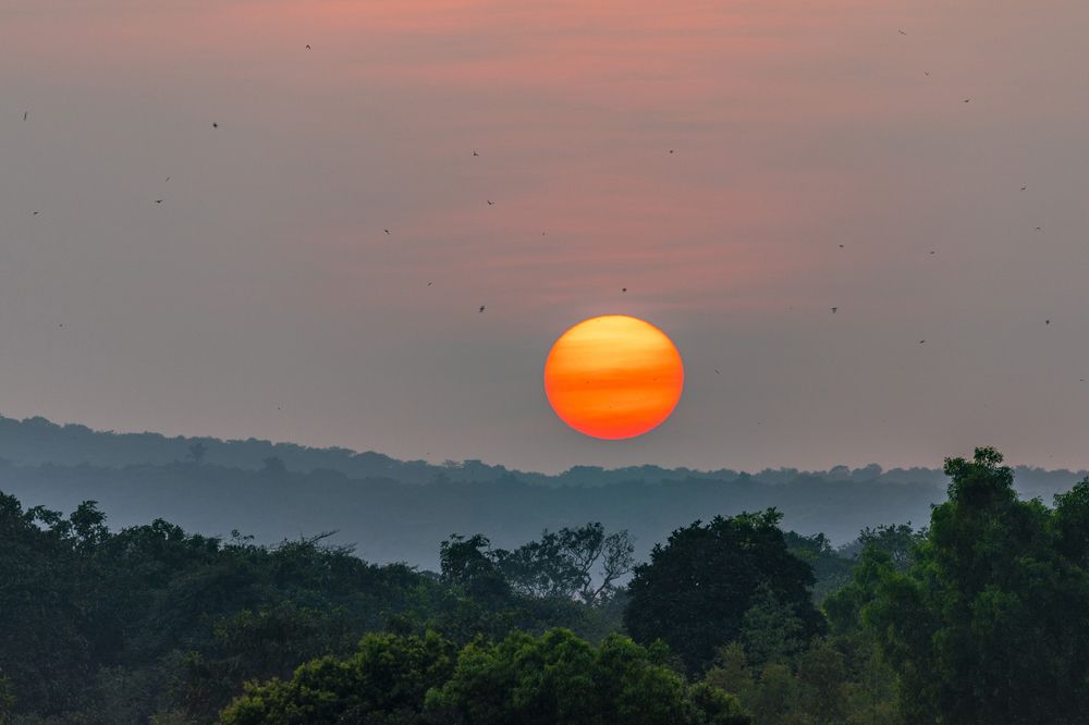Photograph by Dhananjay Jadhav