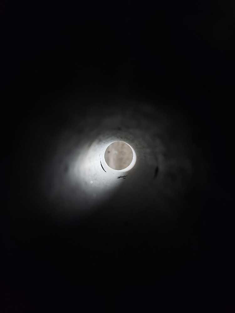 Photograph by Эндже Галиахметова