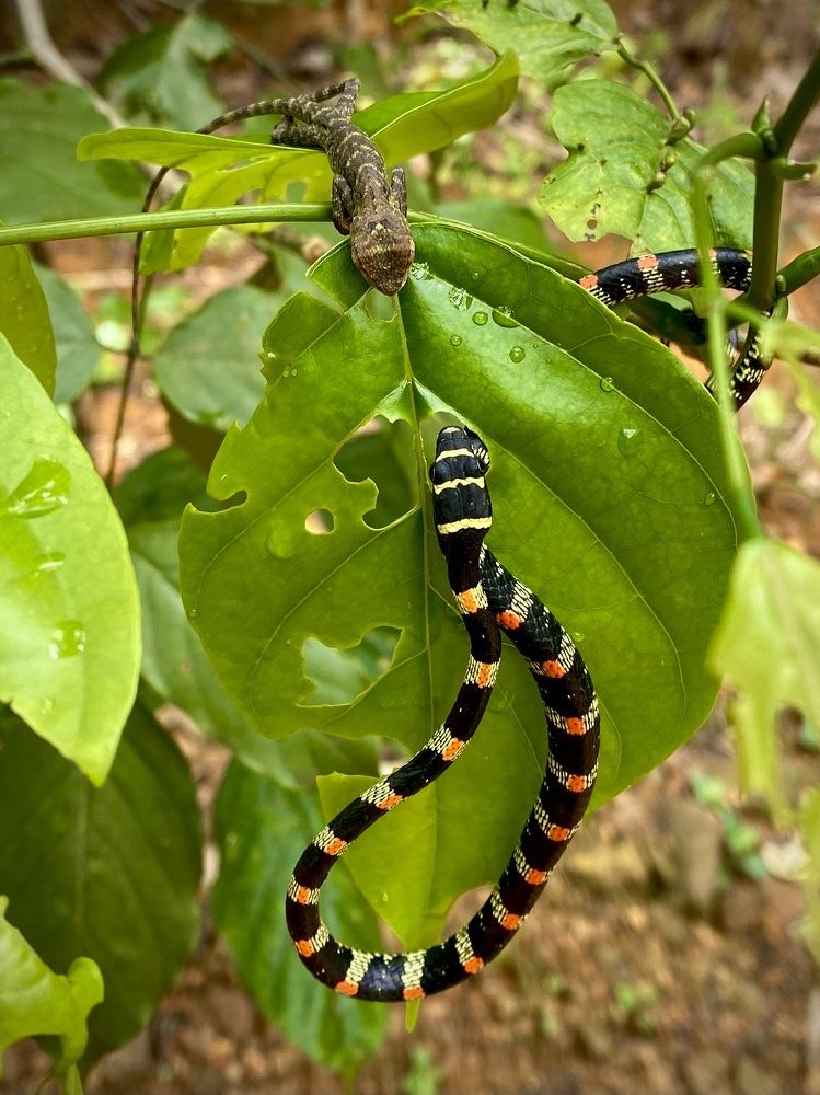 Photograph by Dhananjay Jadhav