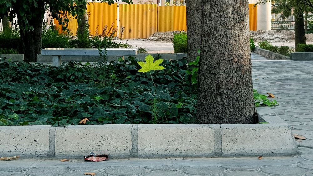 Photograph by Mohammad Mahdi Khojasteh