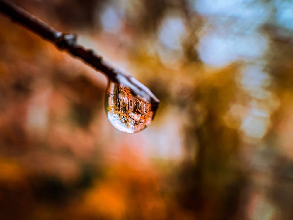 Photograph by Елена