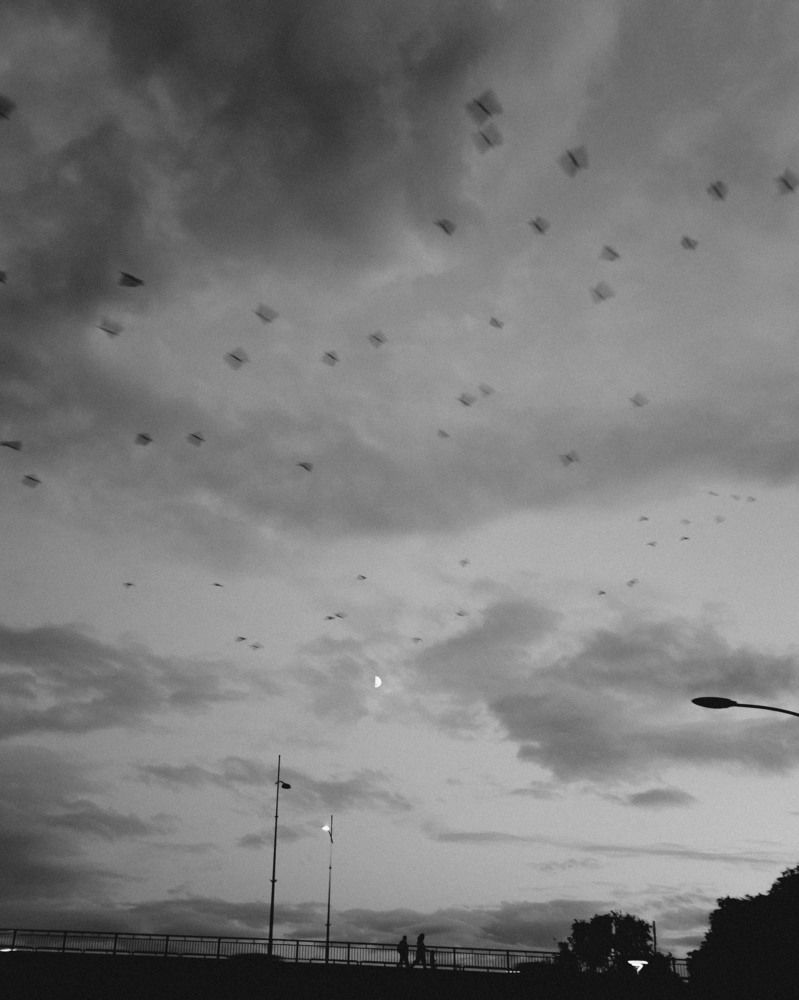 Photograph by Левичев Валетнин