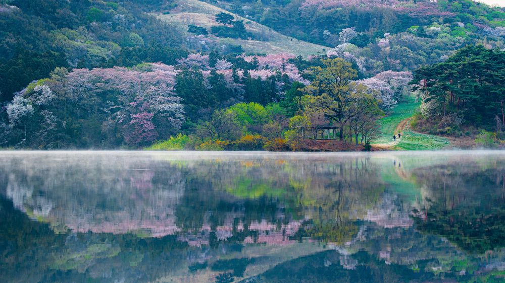 Фотография автора NGUYEN XUAN BAC