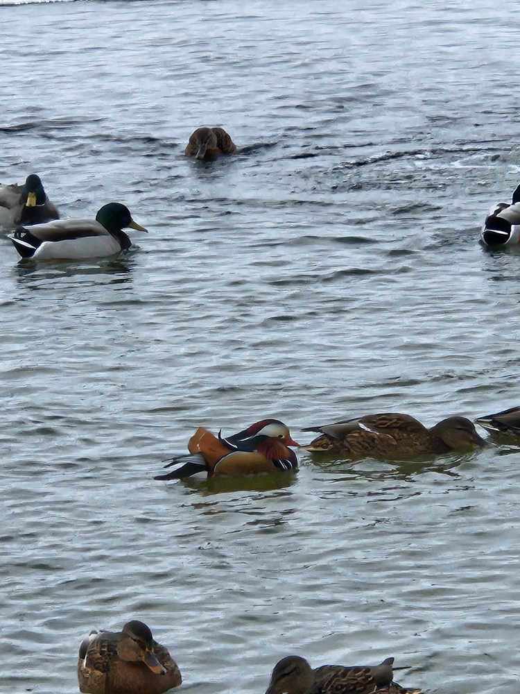 Photograph by Kristiina Soots