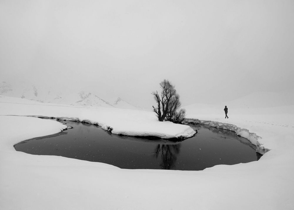 Фотография автора mohammad Alipour