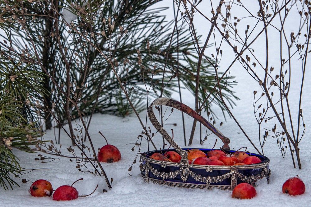 Фотография автора Александр Довганюк