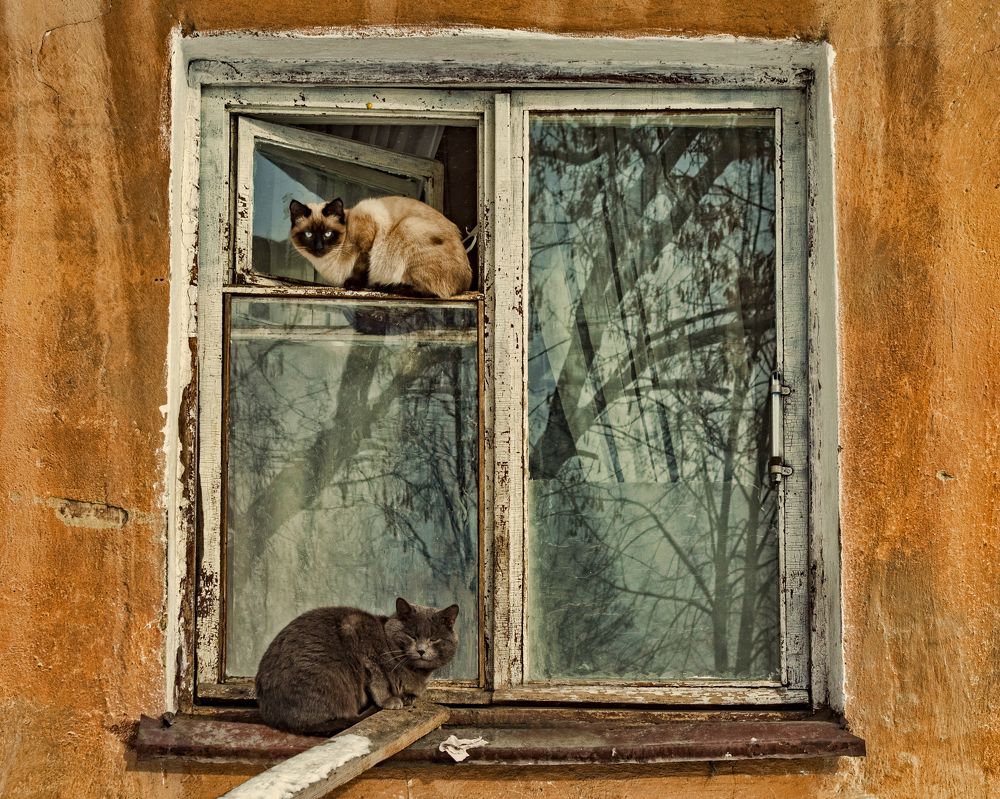 Photograph by Владимир