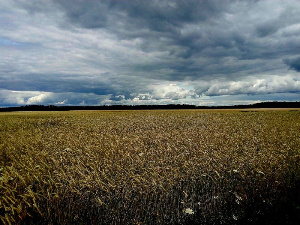 Photograph by Алина