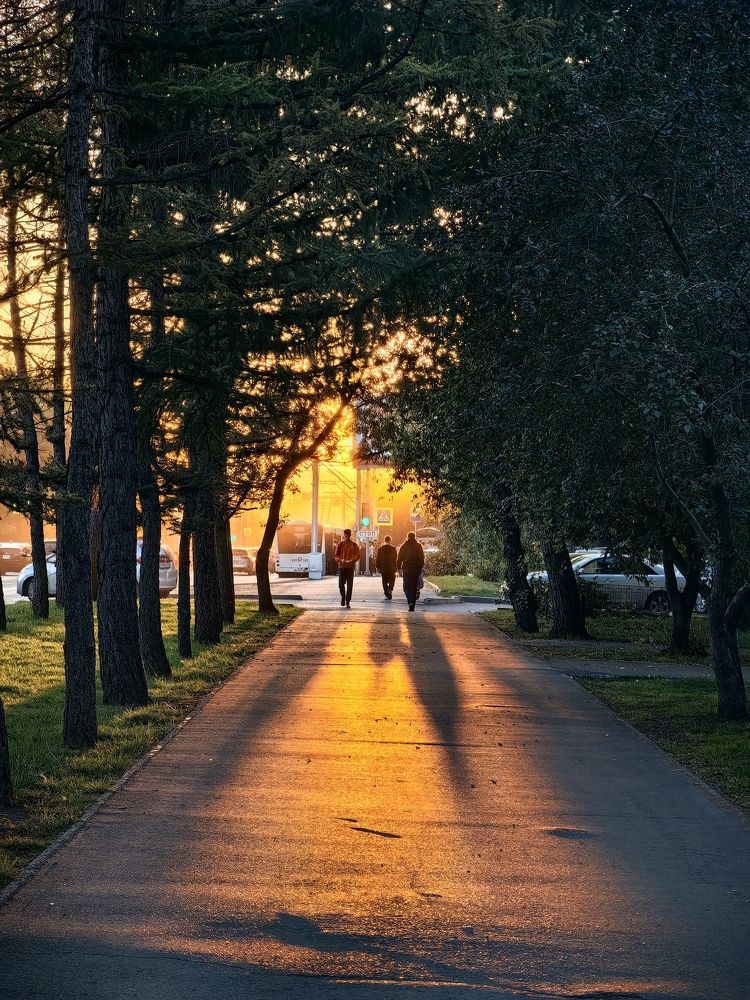 Photograph by Игорь Сапронов