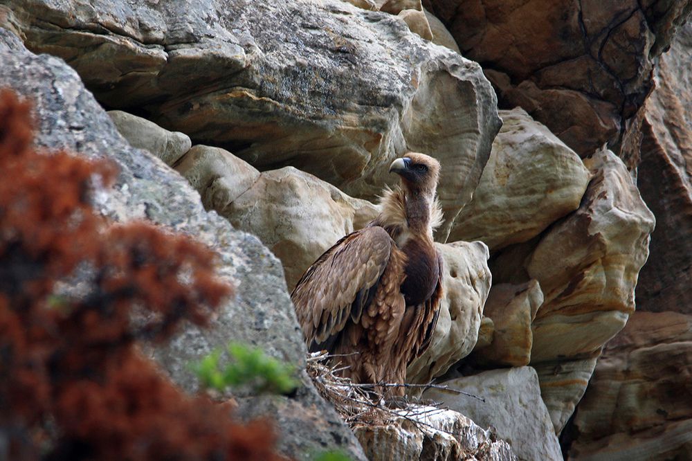 Photograph by Magov Marat