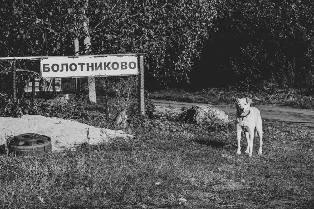 У въезда в деревню Болотниково. At the entrance to the village of Bolotnikovo.