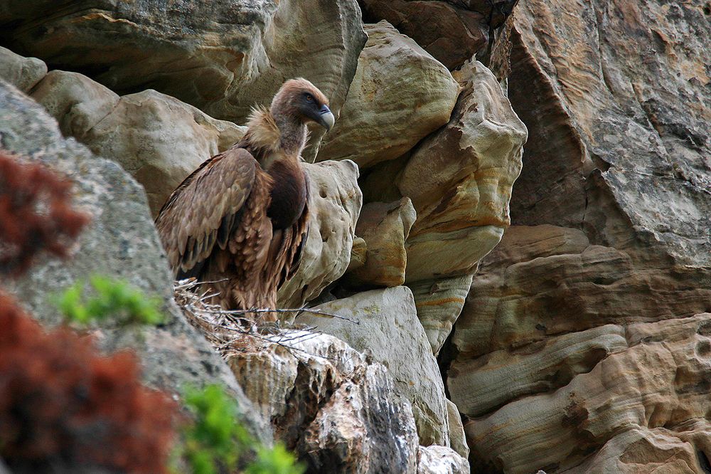 Photograph by Magov Marat