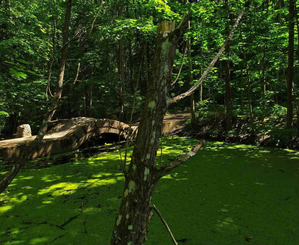 Photograph by Olga Kot