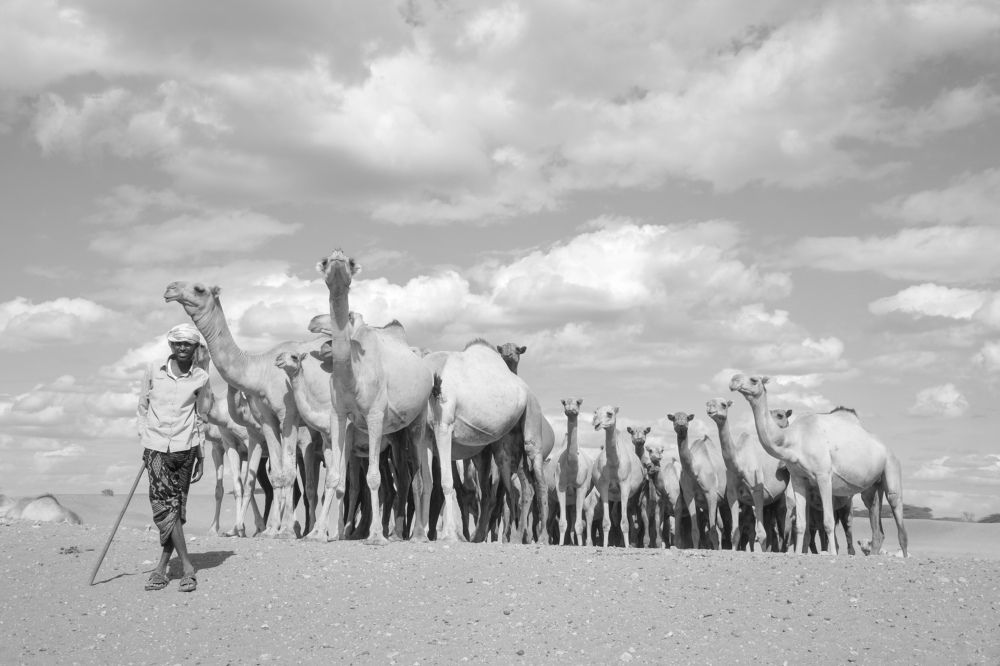 Photograph by Rex Mutikwa