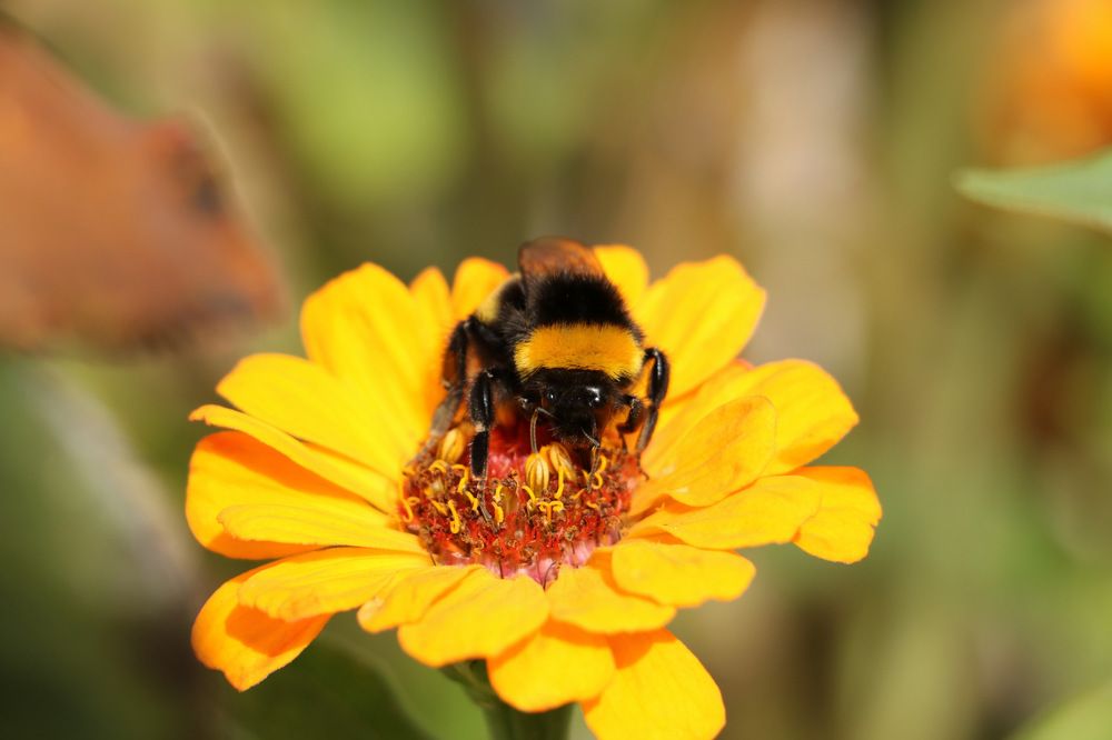 Photograph by Cengiz Yalcin