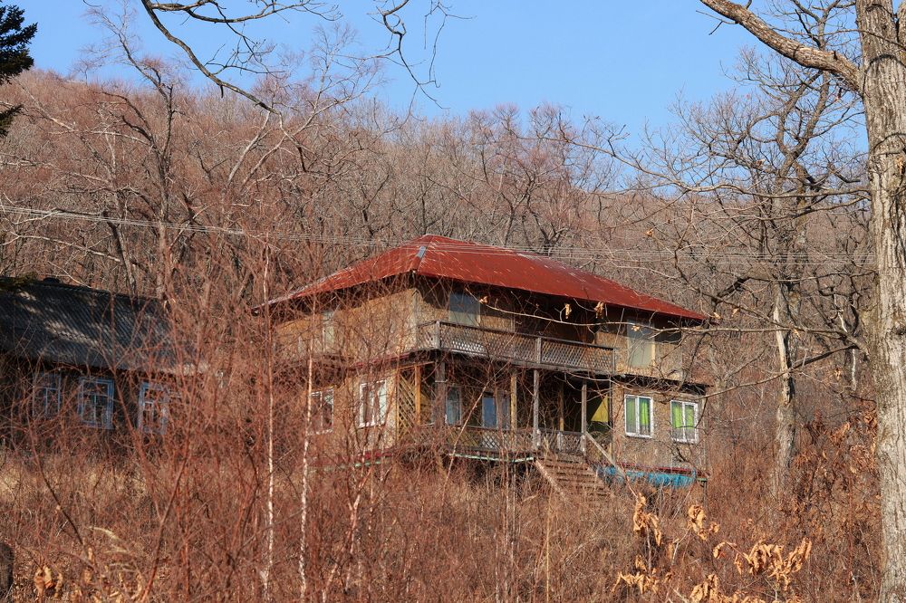 Photograph by Нина Ларина