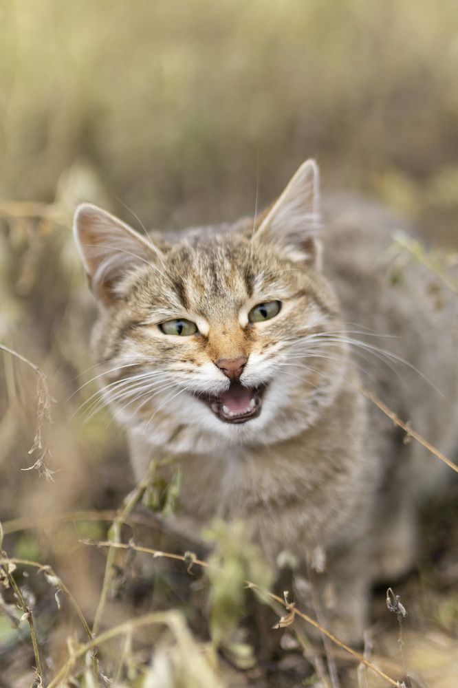 Photograph by Светлана Азизова