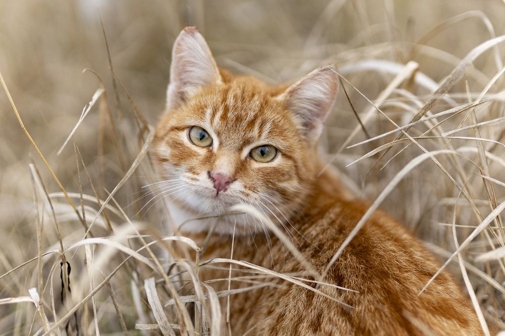 Photograph by Светлана Азизова