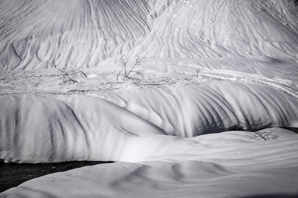Фотография автора Татьяна Добровольская