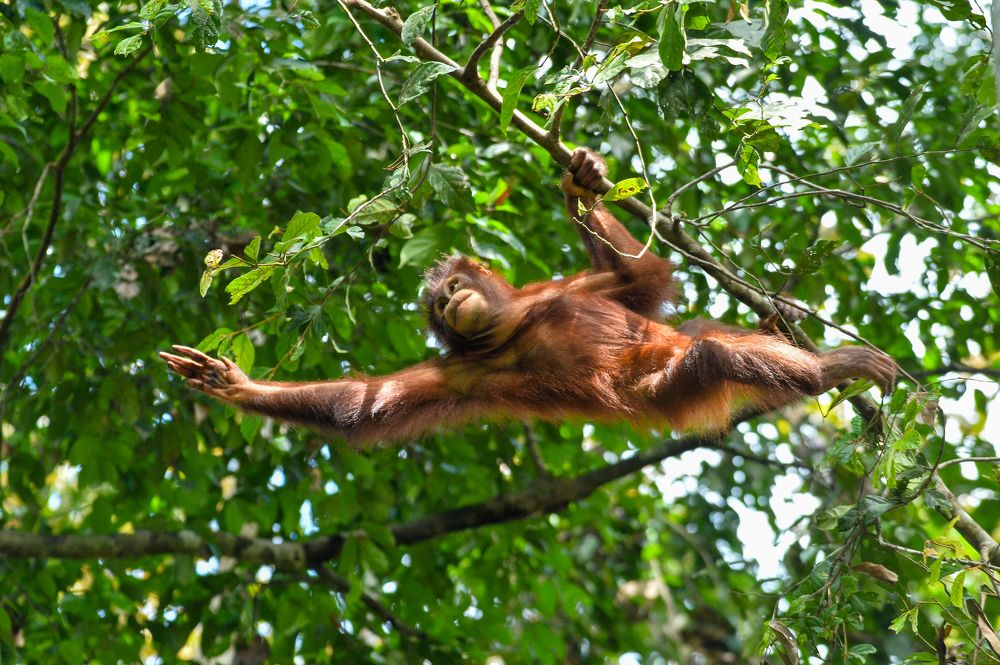 Photograph by Raffi Akbar