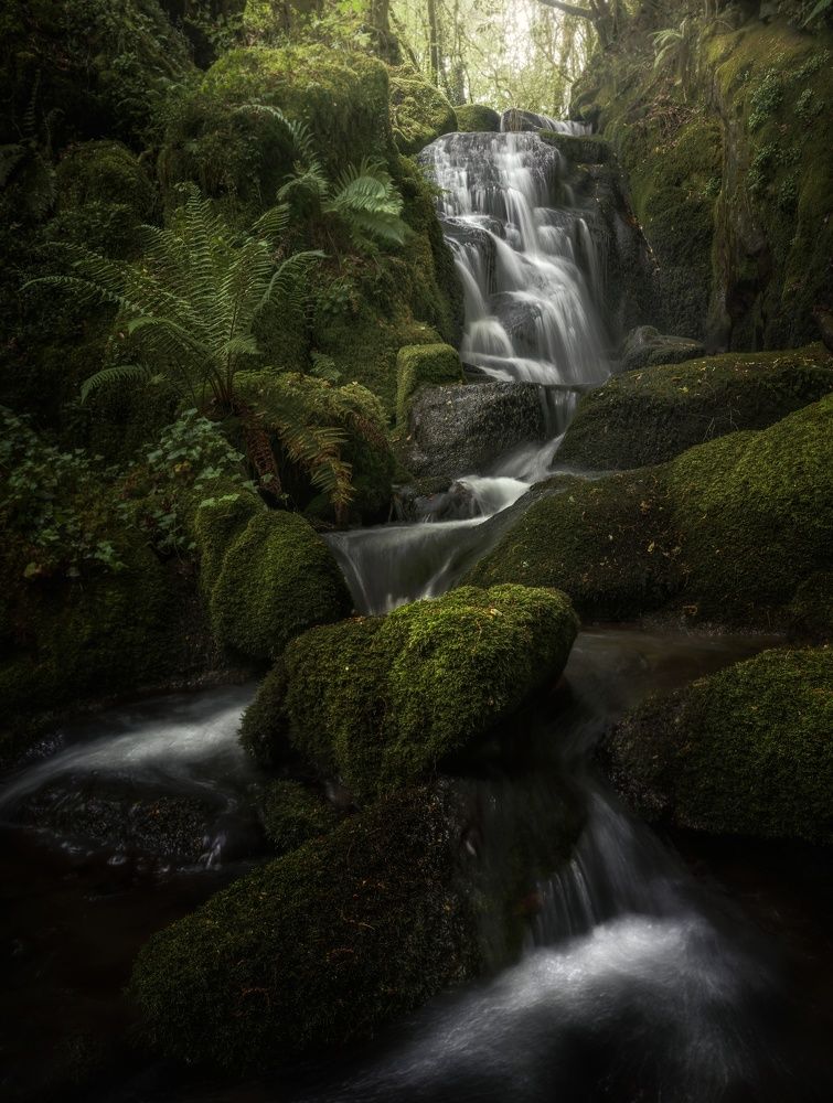 Photograph by Miguel Iglesias