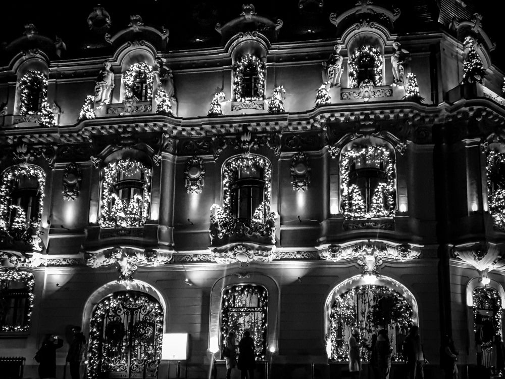 Photograph by Elisa Condrea